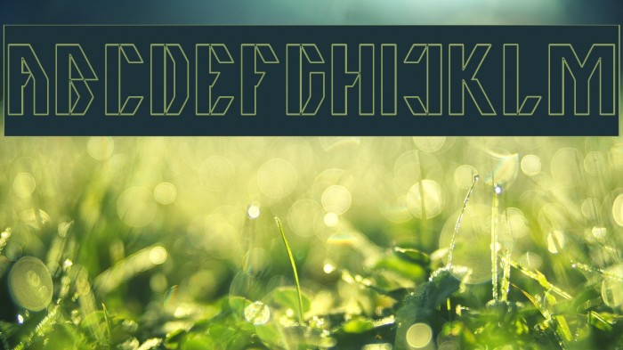 The Quick-Hollow-inverse Example 1