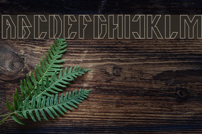 The Quick-Hollow Example 2