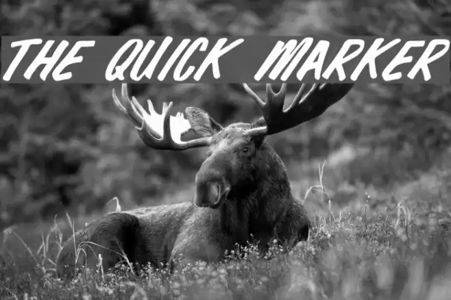 The Quick Marker Font examples