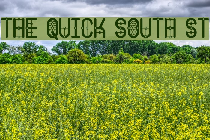 The Quick South St Font examples