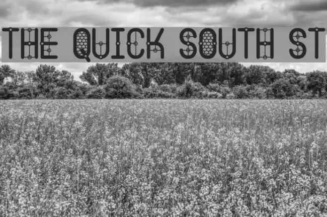 The Quick South St Font examples
