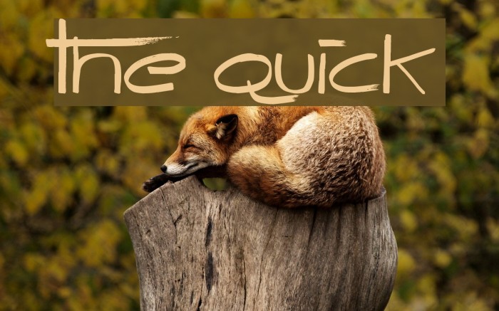 The Quick Font examples