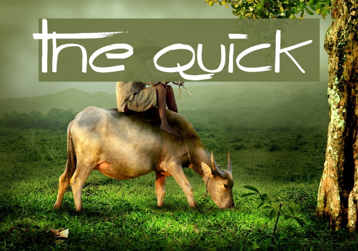 The Quick Font examples