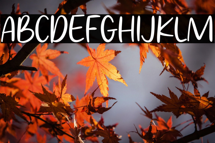 The Quickly Example 2