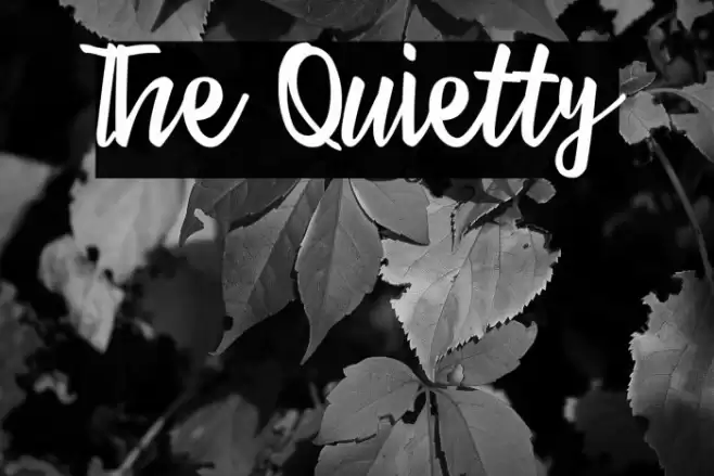 The Quietty Font examples