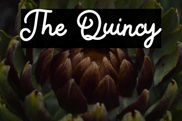 The Quincy Example 2