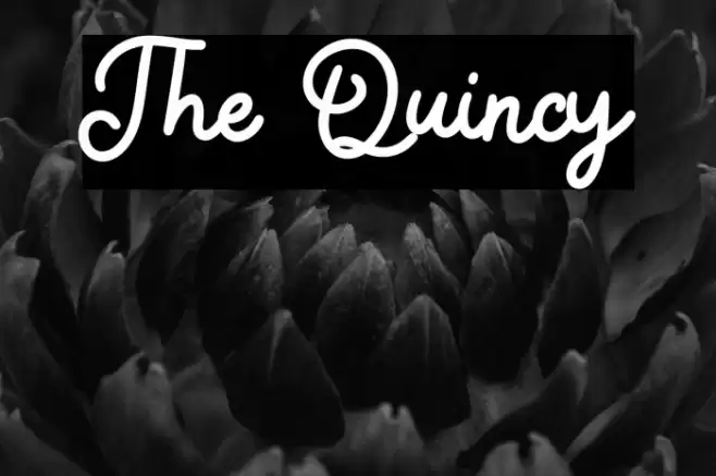 The Quincy Font examples