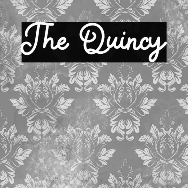 The Quincy Font examples