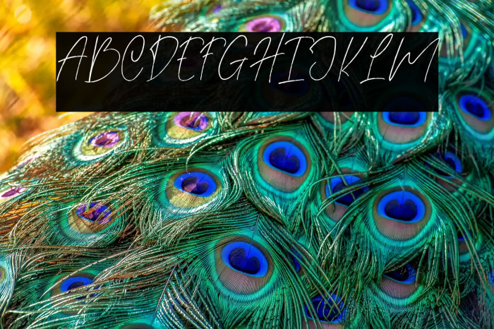 The Quotes Example 1