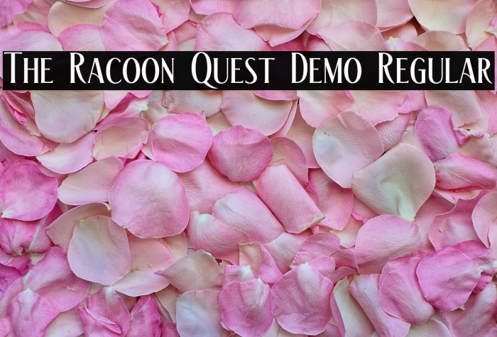 The Racoon Quest Demo Regular Example 2