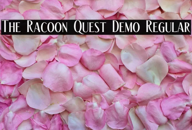 The Racoon Quest Demo Regular Example 2