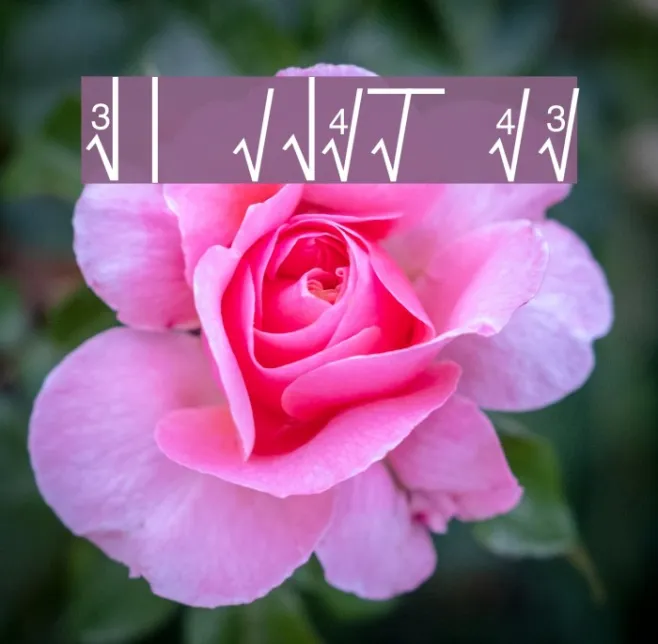 The Radical Sign Example 1