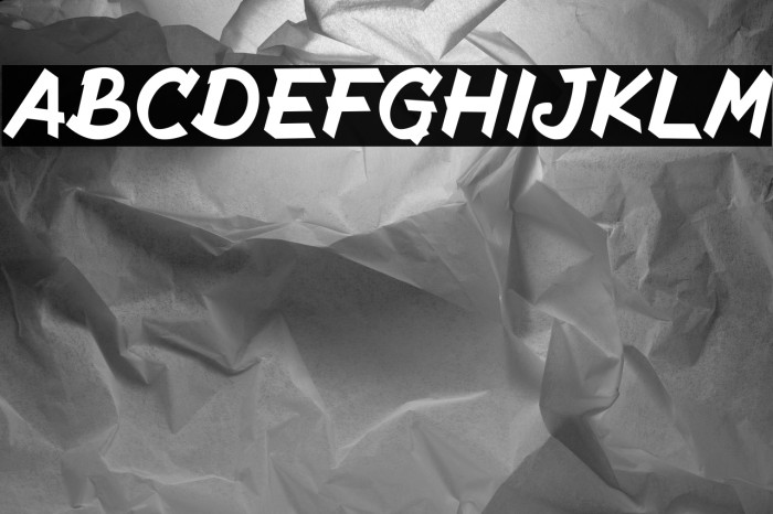 The Radicools Casual Italic Example 2