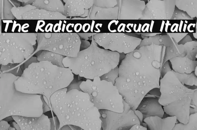 The Radicools Casual Italic Font examples