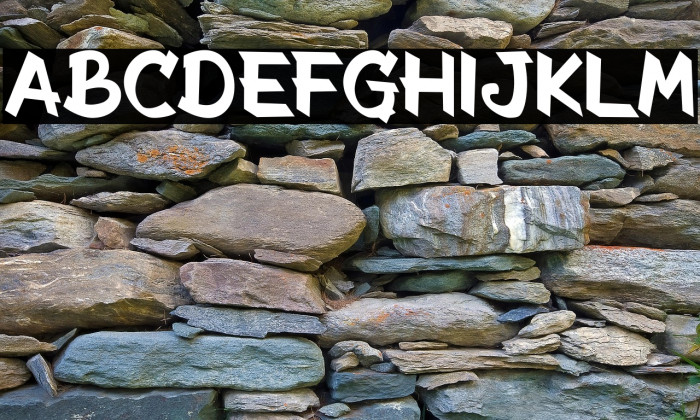 The Radicools Casual Regular Example 1