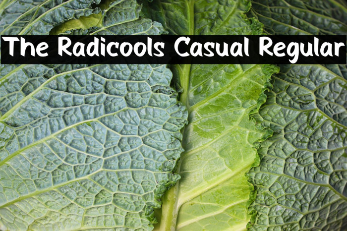 The Radicools Casual Regular Example 1