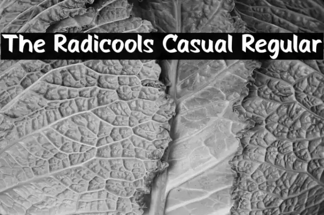 The Radicools Casual Regular Schriftart examples