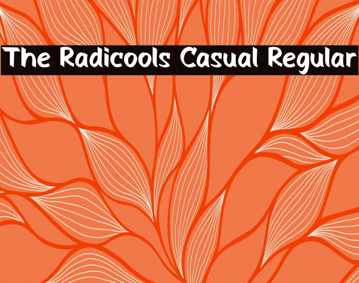 The Radicools Casual Regular Example 2