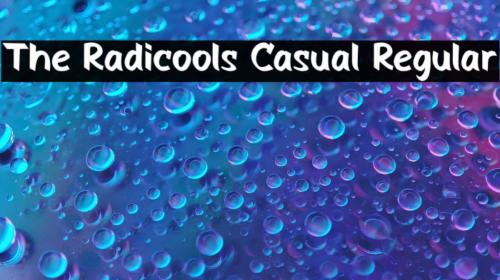 The Radicools Casual Regular Example 3