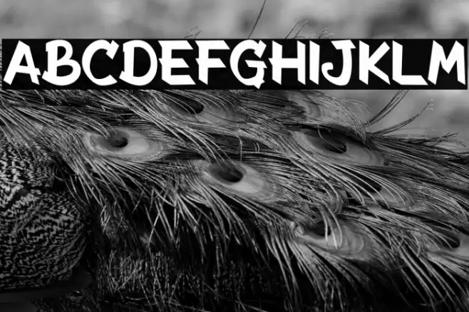 The Radicools Regular Font examples