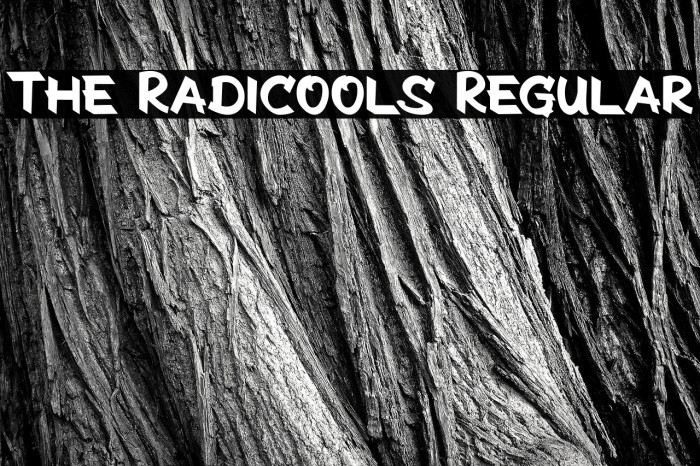The Radicools Regular Example 1