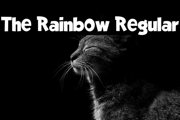 The Rainbow Regular Example 3