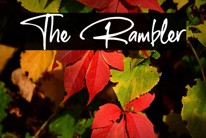 The Rambler Example 3