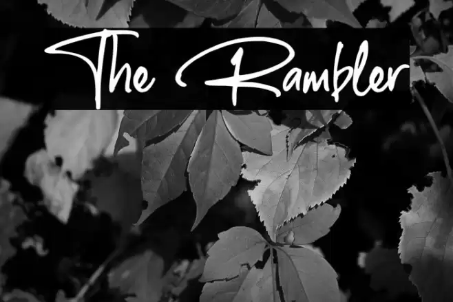 The Rambler Font examples