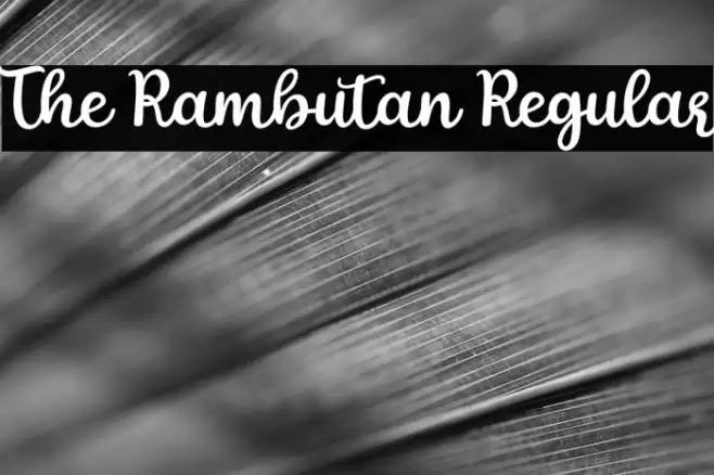 The Rambutan Regular Font examples