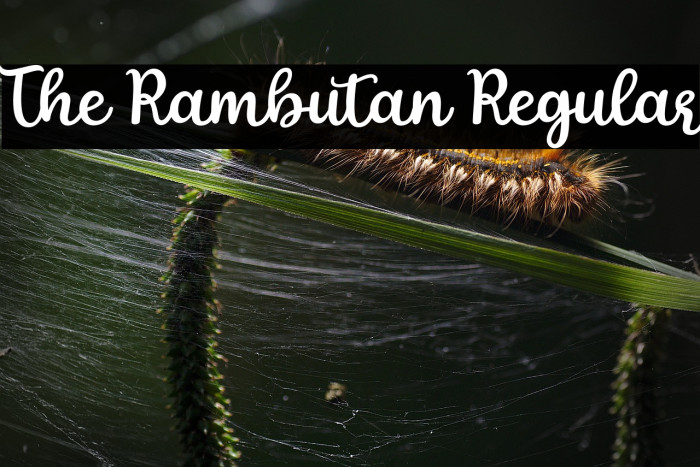 The Rambutan Regular Example 3