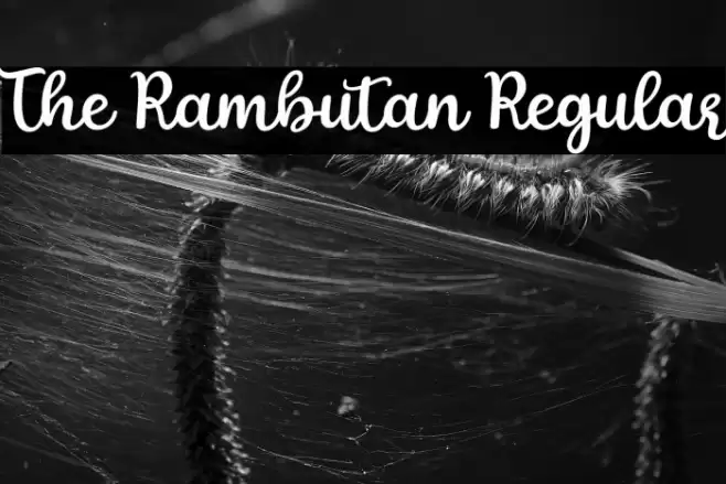 The Rambutan Regular Font examples