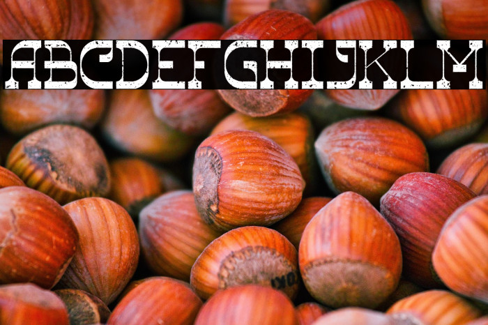 The Ranch Roughen Example 1