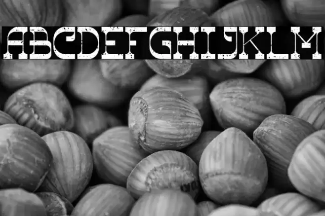 The Ranch Roughen Caratteri examples