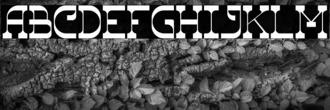 The Ranch Font examples