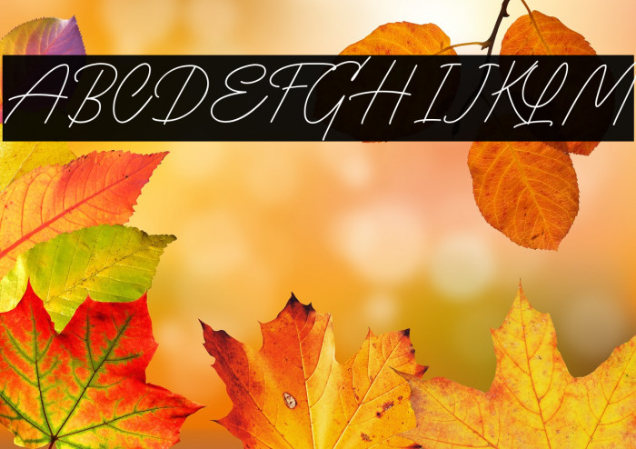 The Randi DEMO Example 1