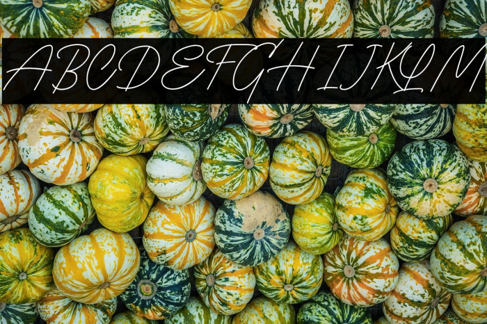 The Randi DEMO Example 3