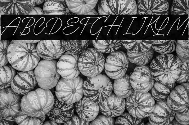 The Randi DEMO Font examples