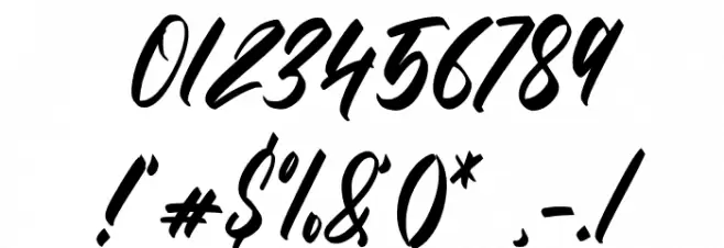 The Raster Font OTHER CHARS