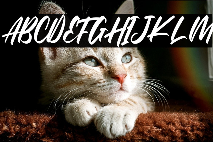 The Raster Example 1