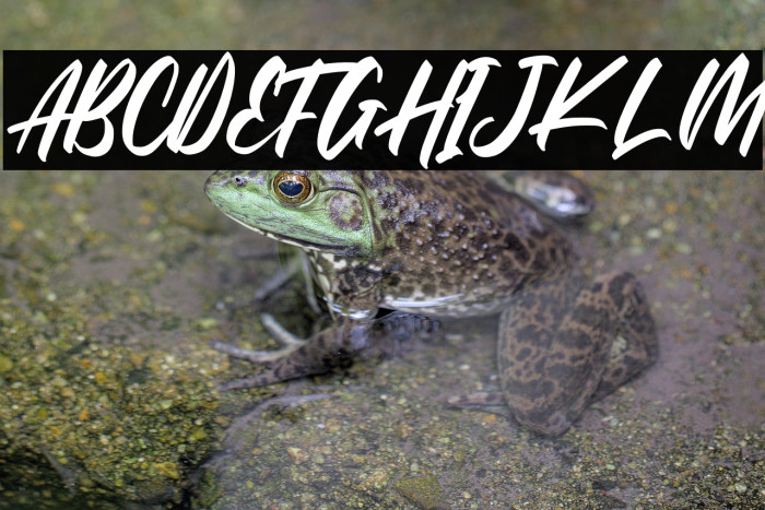 The Raster Example 2