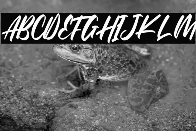 The Raster Font examples