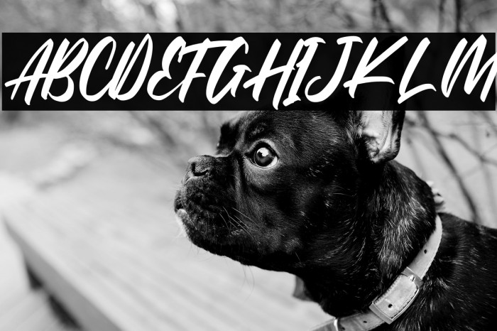 The Raster Example 3