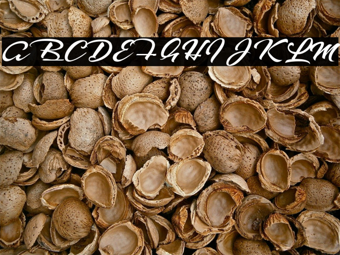 The Rattnest Font examples