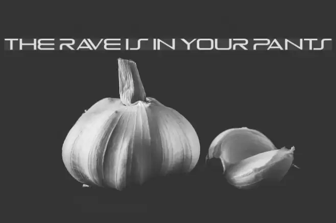 The Rave Is In Your Pants Fonte examples