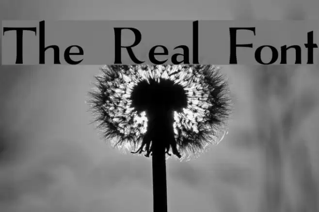 The Real Font Font examples