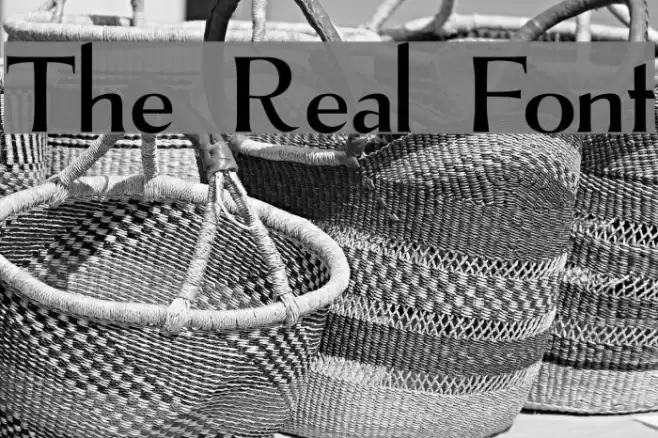 The Real Font Font examples