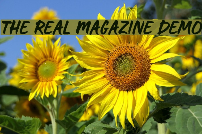 The Real Magazine Demo Font examples