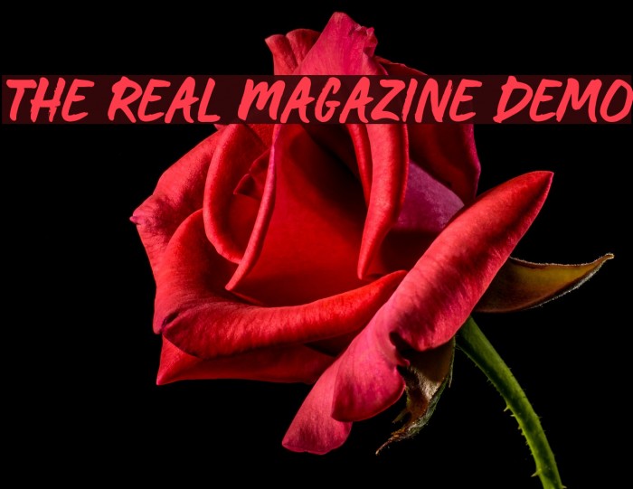 The Real Magazine Demo Font examples