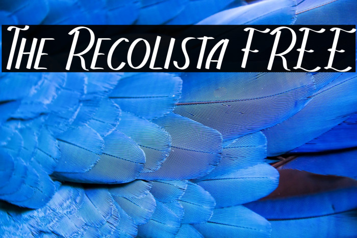 The Recolista FREE Example 1