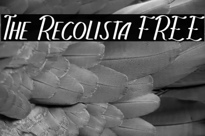 The Recolista FREE Font examples